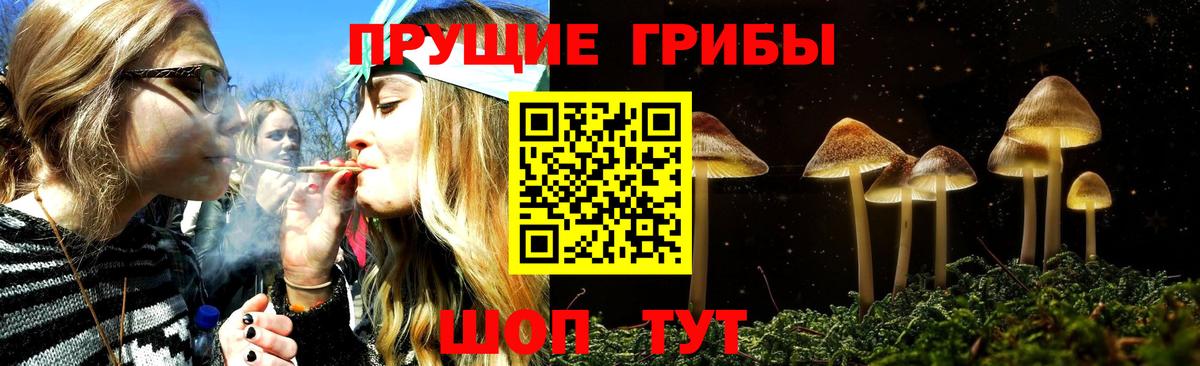 Галлюциногенные грибы Psilocybine cubensis  Вход с VPN  Минеральные Воды  Галлюциногенные грибы мицелий 