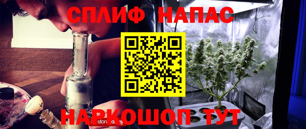 Конопля Amnesia  Вход с VPN  Минеральные Воды  МАРИХУАНА SATIVA & INDICA  МАРИХУАНА индика 